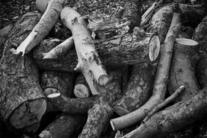 Wurde Der Schatz Von Oak Island Schon Gefunden Nach 200 Jahren wurde der versteckte Schatz von "Oak Island" endlich