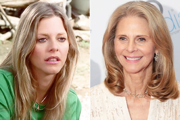 Lindsay Wagner new tv show