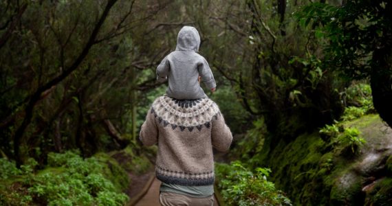 What is a non-custodial parent?